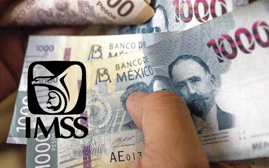 pago de pensión imss 2024 El Heraldo de Chiapas Noticias Locales